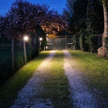 La Casina Apartament Ferrara Eksteriør billede